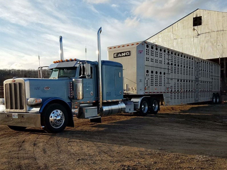 Byron Lang Livestock blue truck Byron L. Lang, Inc based out of Jackson Missouri MO